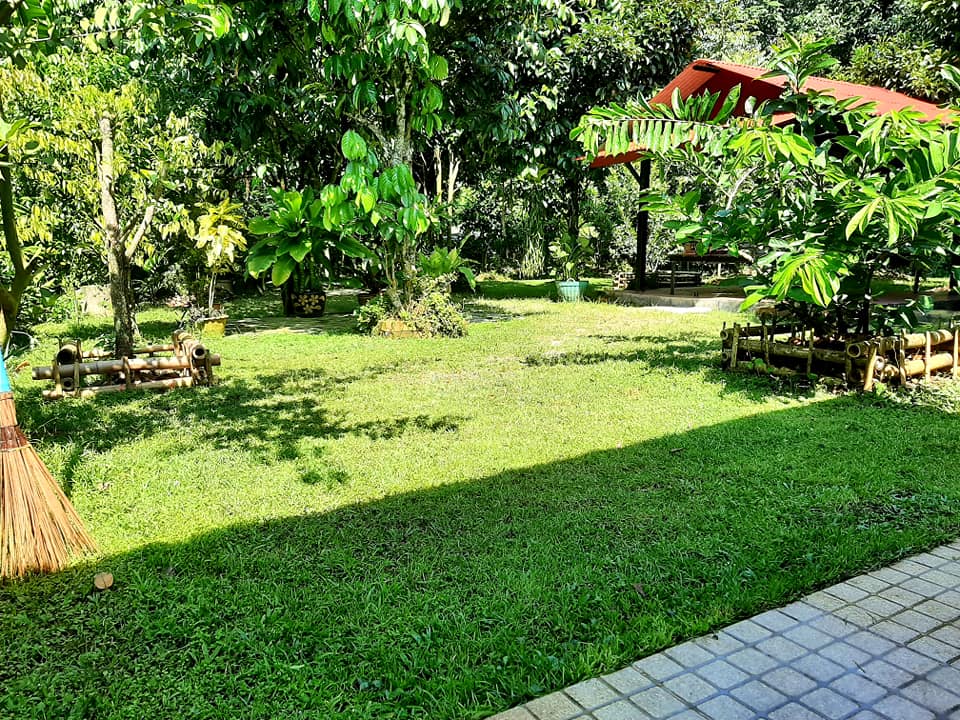 บ้านสไตล์ลอฟ บ้านในสวน พัทลุง