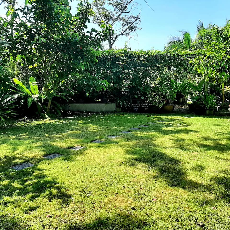 บ้านสไตล์ลอฟ บ้านในสวน พัทลุง