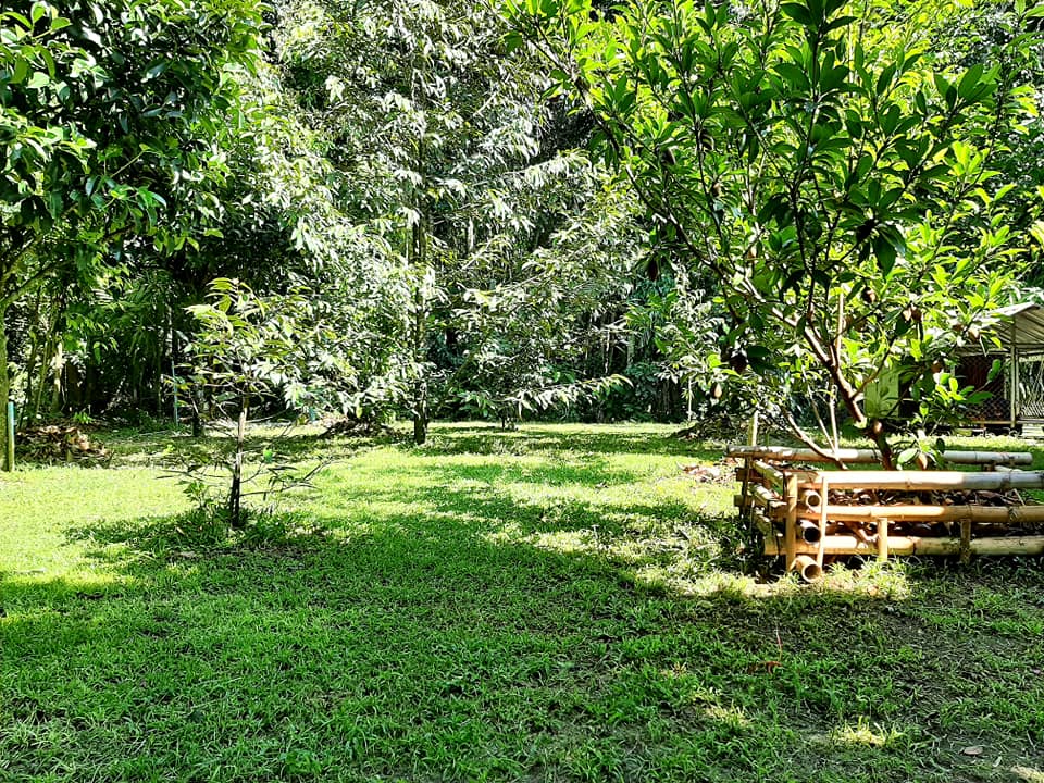 บ้านสไตล์ลอฟ บ้านในสวน พัทลุง