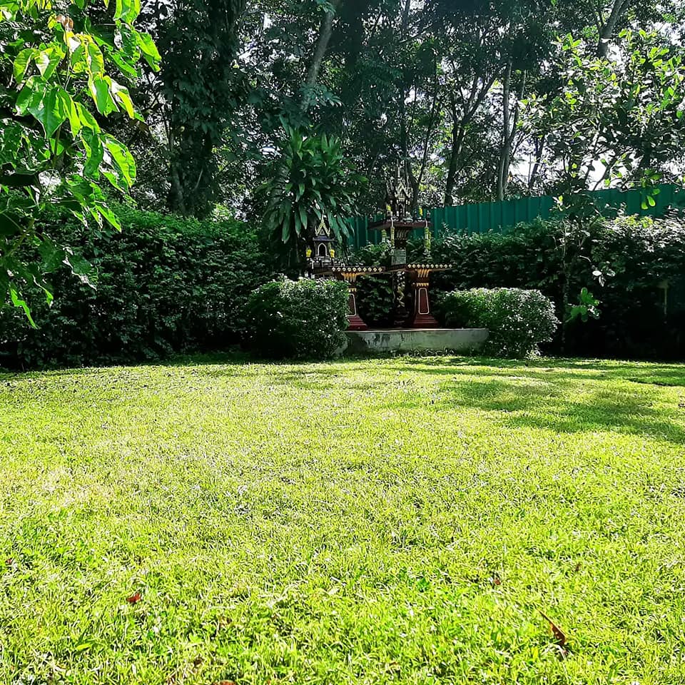 บ้านสไตล์ลอฟ บ้านในสวน พัทลุง