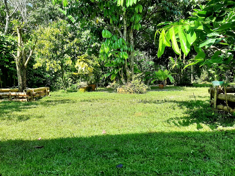 บ้านสไตล์ลอฟ บ้านในสวน พัทลุง