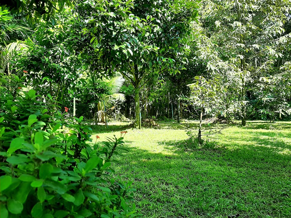 บ้านสไตล์ลอฟ บ้านในสวน พัทลุง