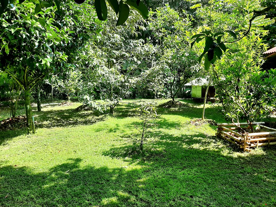 บ้านสไตล์ลอฟ บ้านในสวน พัทลุง