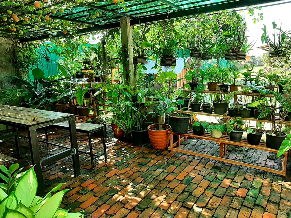 บ้านสไตล์ลอฟ บ้านในสวน พัทลุง