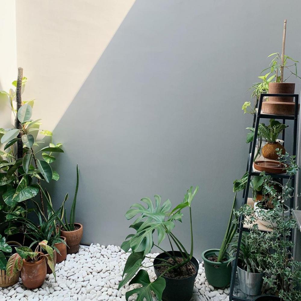 ไอเดียมุมซักล้างสวยๆน่ารักๆ