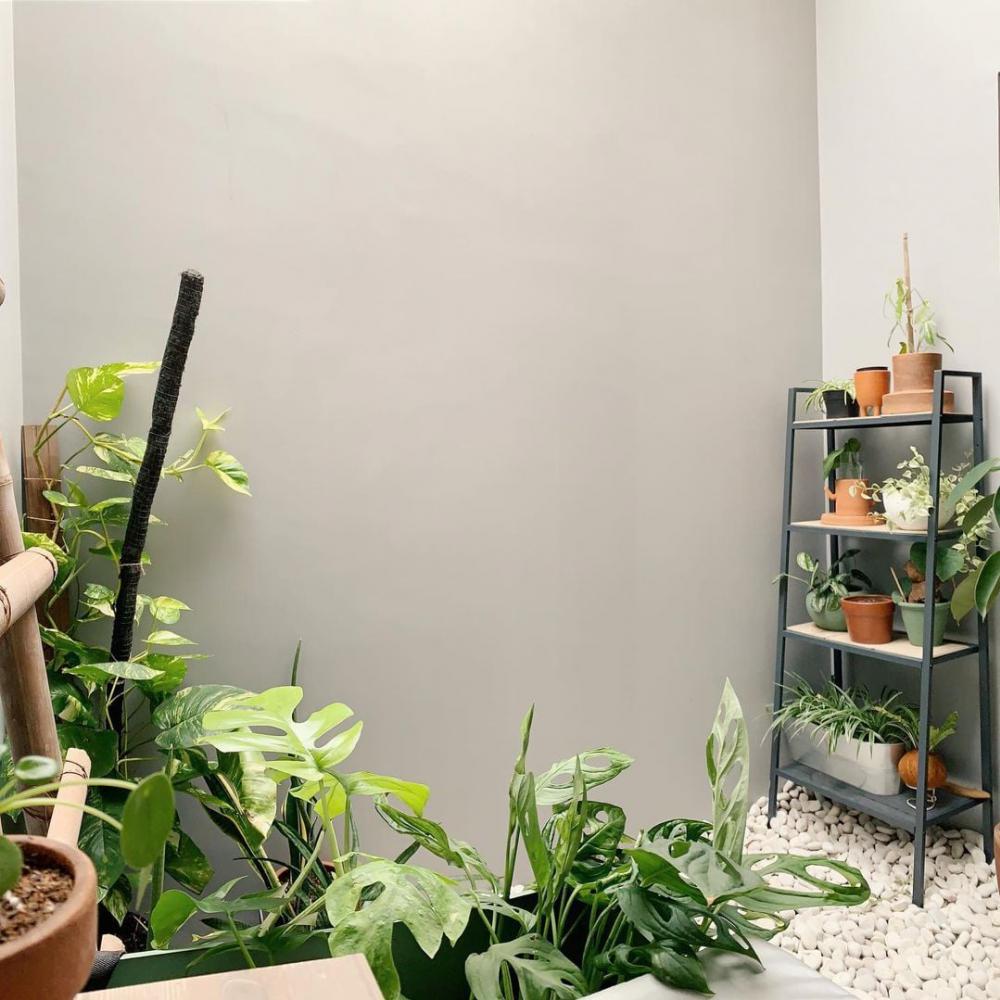 ไอเดียมุมซักล้างสวยๆน่ารักๆ