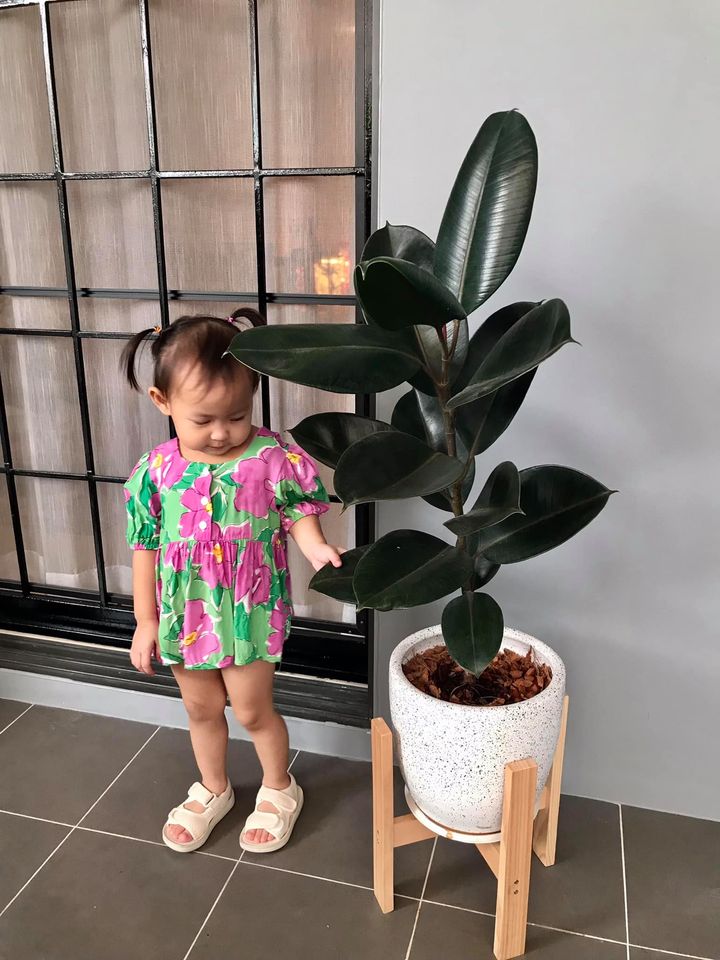 ไอเดียแต่งบ้านสไตล์มินิมอล ใครชอบบ้านโทนสีไม้ 