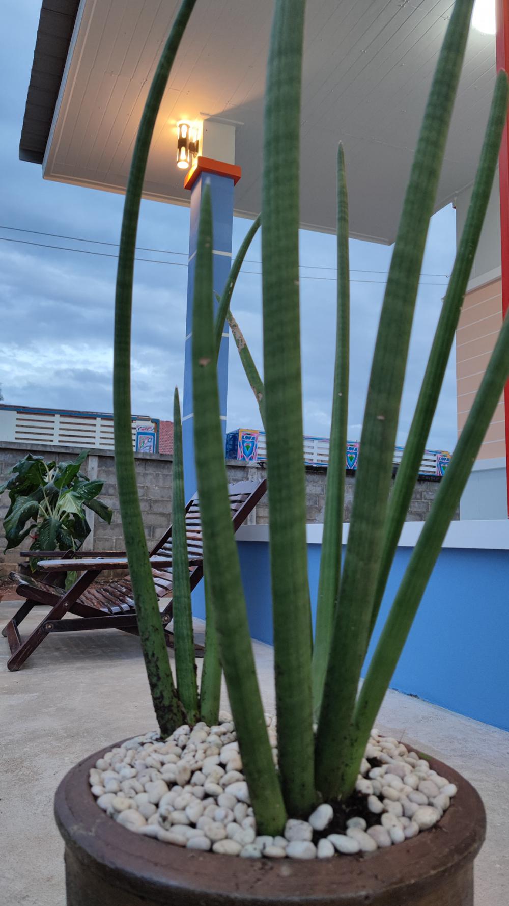 บ้านโมเดิร์น 3 ห้องนอน ขนาด 180 ตร.ม. (แต่ละห้องใหญ่มาก) งบ 1.5 ล้านบาท