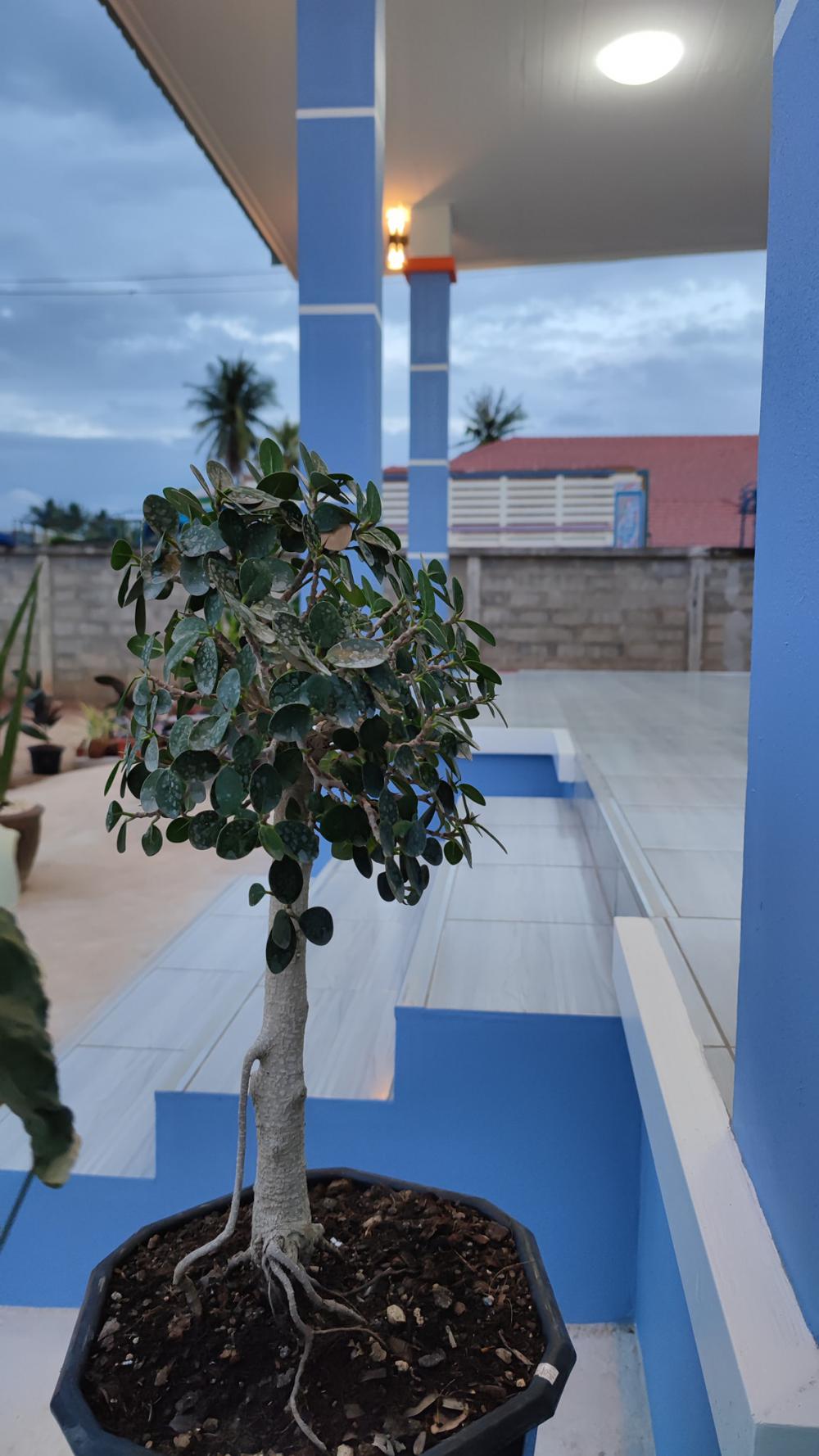 บ้านโมเดิร์น 3 ห้องนอน ขนาด 180 ตร.ม. (แต่ละห้องใหญ่มาก) งบ 1.5 ล้านบาท