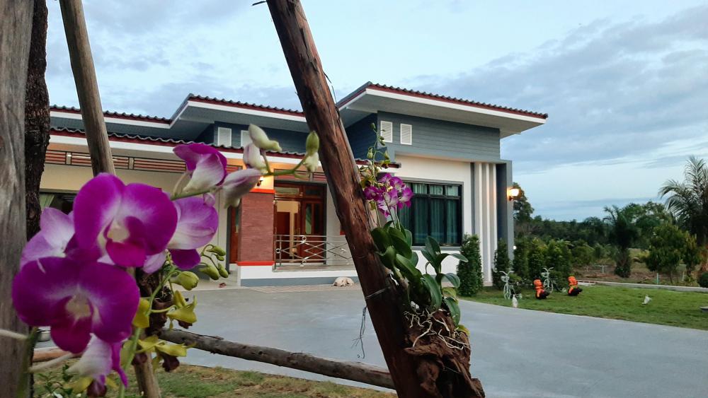 บ้านโมเดิร์น สวยๆ กับพื้นที่สวยๆ บ้านในฝันของใครหลายคน