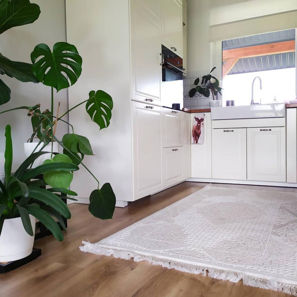 ไอเดียบ้านสวย+สระว่ายน้ำเล็ก น่ารักน่าอยู่