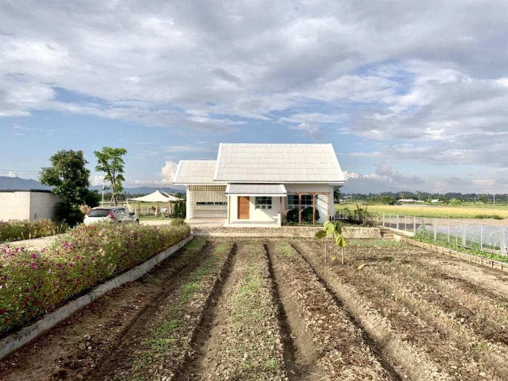 ไอเดียบ้านสวนสวย>>สีขาวแบบมินิมอลมูจิ