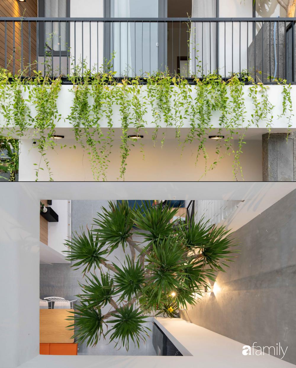 ไอเดียบ้านสวยหน้าเเคบ