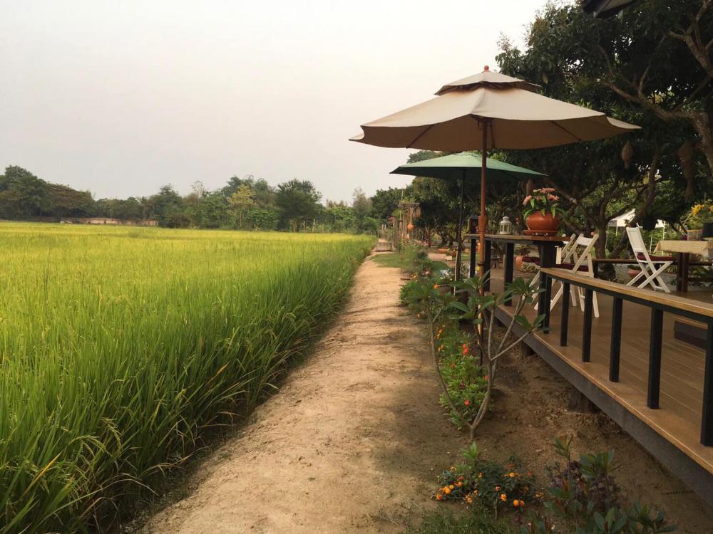 ไอเดียแต่งบ้านแต่งสวนไว้พัก มีมุมคาเฟ่ชิคๆ สวยมาก