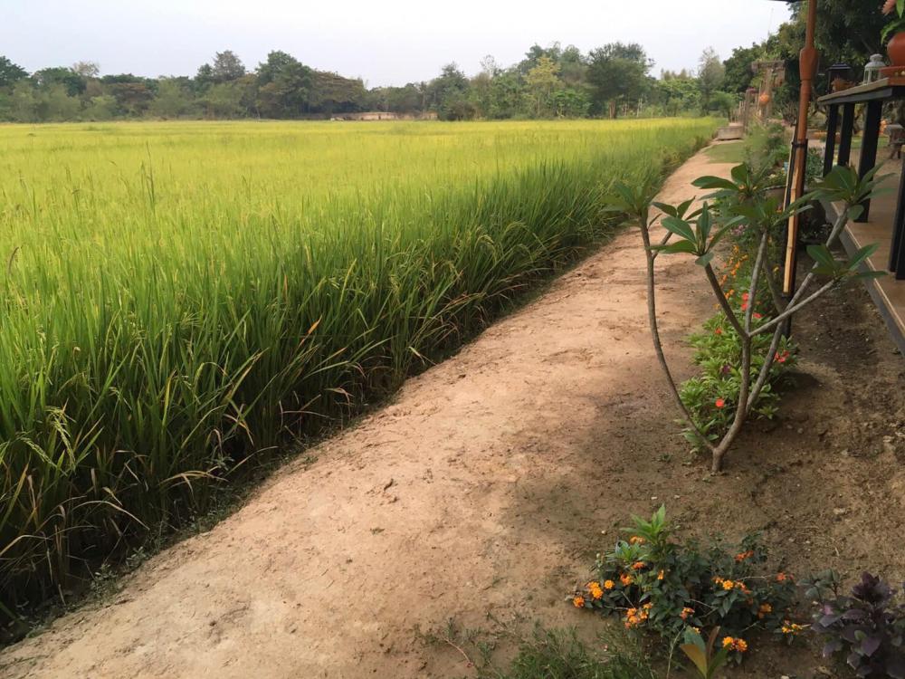 ไอเดียแต่งบ้านแต่งสวนไว้พัก มีมุมคาเฟ่ชิคๆ สวยมาก