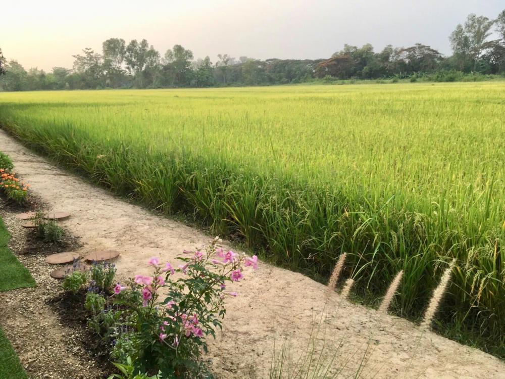 ไอเดียแต่งบ้านแต่งสวนไว้พัก มีมุมคาเฟ่ชิคๆ สวยมาก