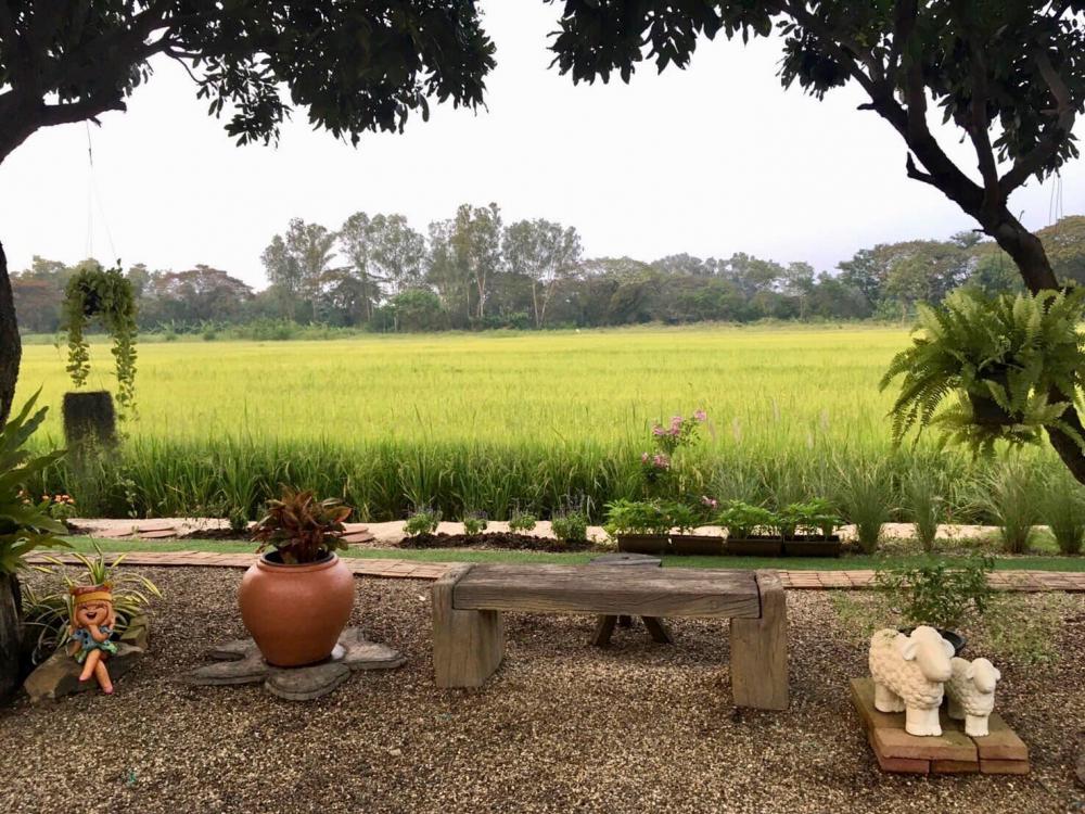 ไอเดียแต่งบ้านแต่งสวนไว้พัก มีมุมคาเฟ่ชิคๆ สวยมาก