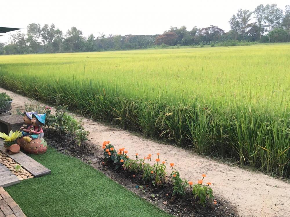 ไอเดียแต่งบ้านแต่งสวนไว้พัก มีมุมคาเฟ่ชิคๆ สวยมาก