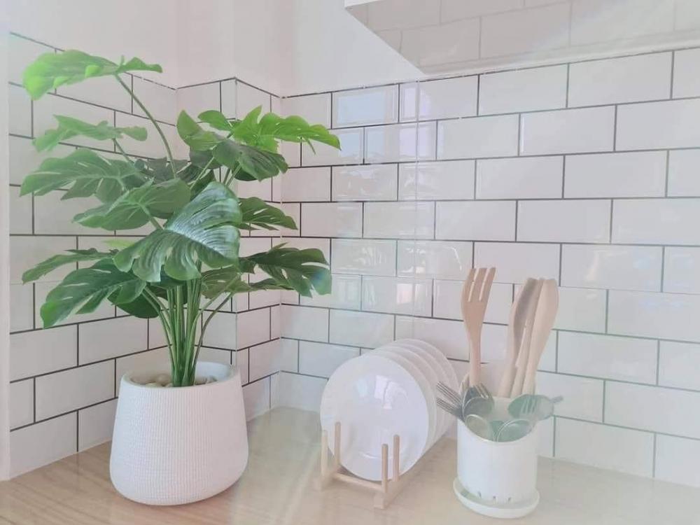 บ้านชั้นเดียวสไตล์ Minimal ราคาเหมา 1.150 ล้านบาท