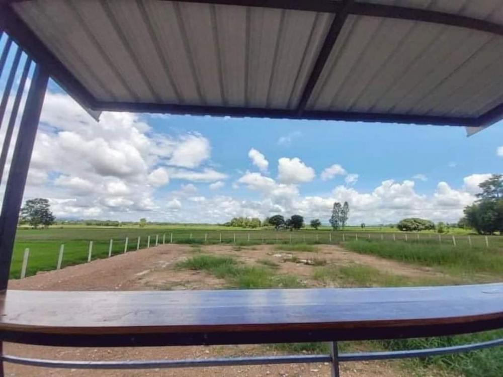 บ้านชั้นเดียวสไตล์ Minimal ราคาเหมา 1.150 ล้านบาท