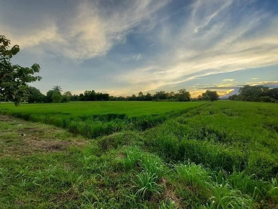 บ้านชั้นเดียวสไตล์ Minimal ราคาเหมา 1.150 ล้านบาท