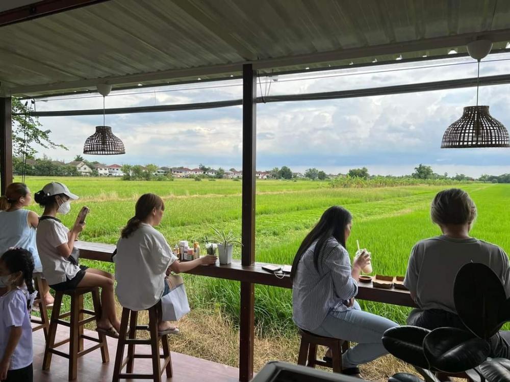 ไอเดียทำร้านกาแฟทุ่งนา