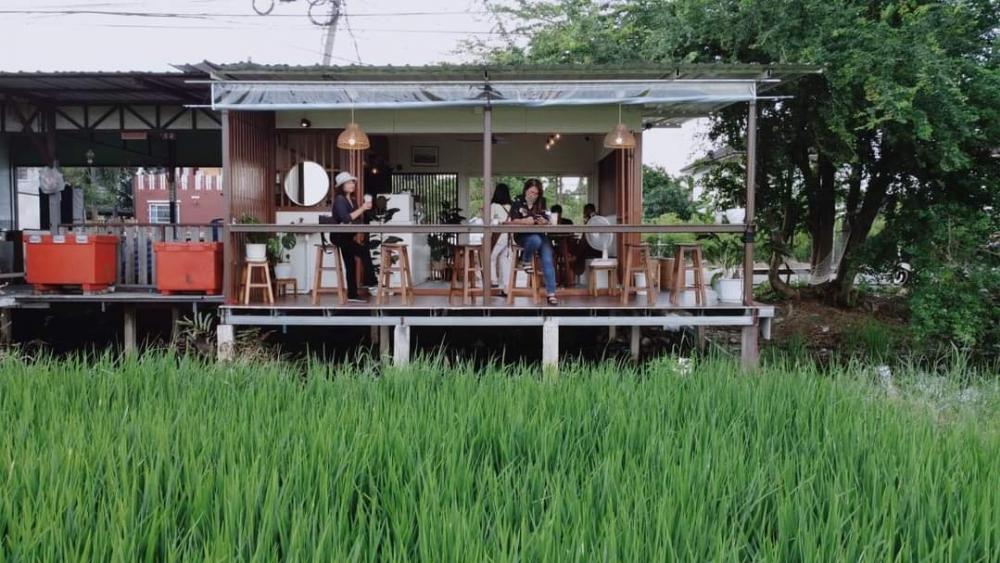 ไอเดียทำร้านกาแฟทุ่งนา