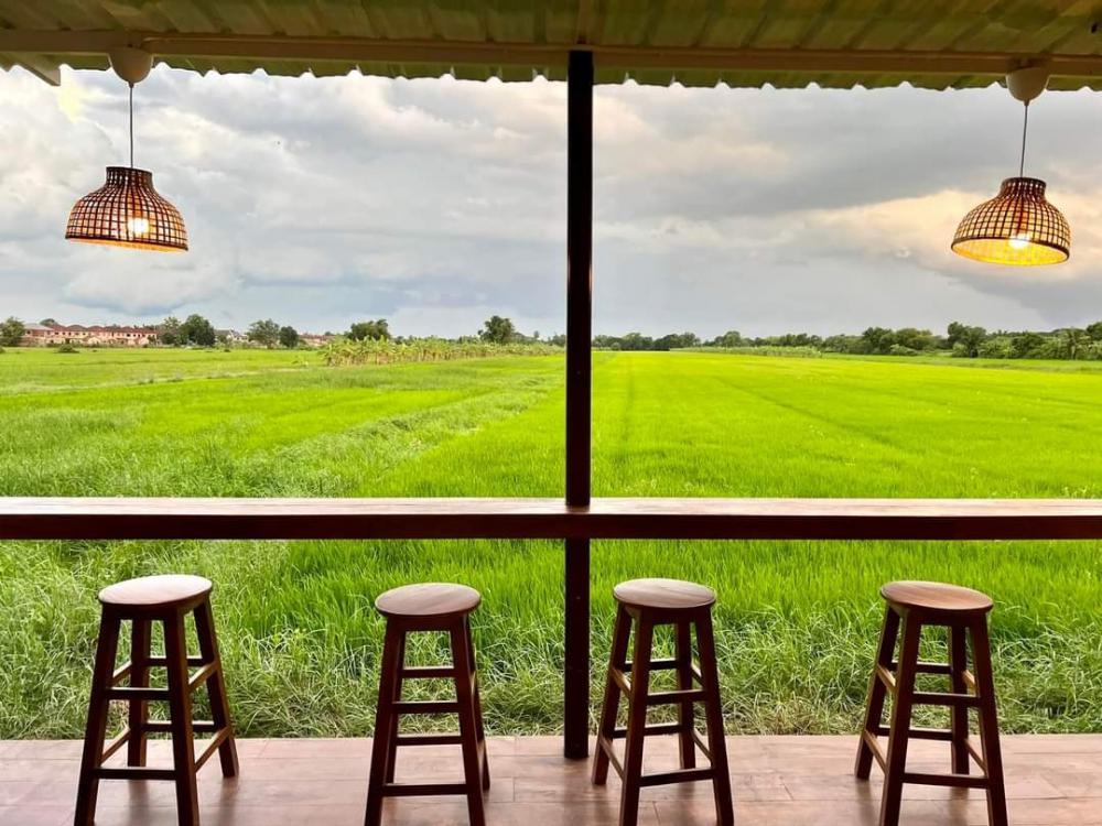 ไอเดียทำร้านกาแฟทุ่งนา