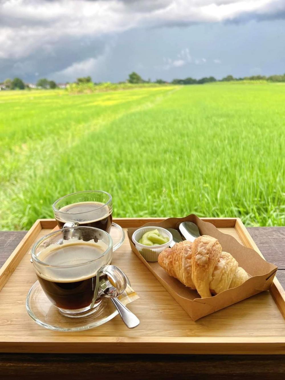 ไอเดียทำร้านกาแฟทุ่งนา