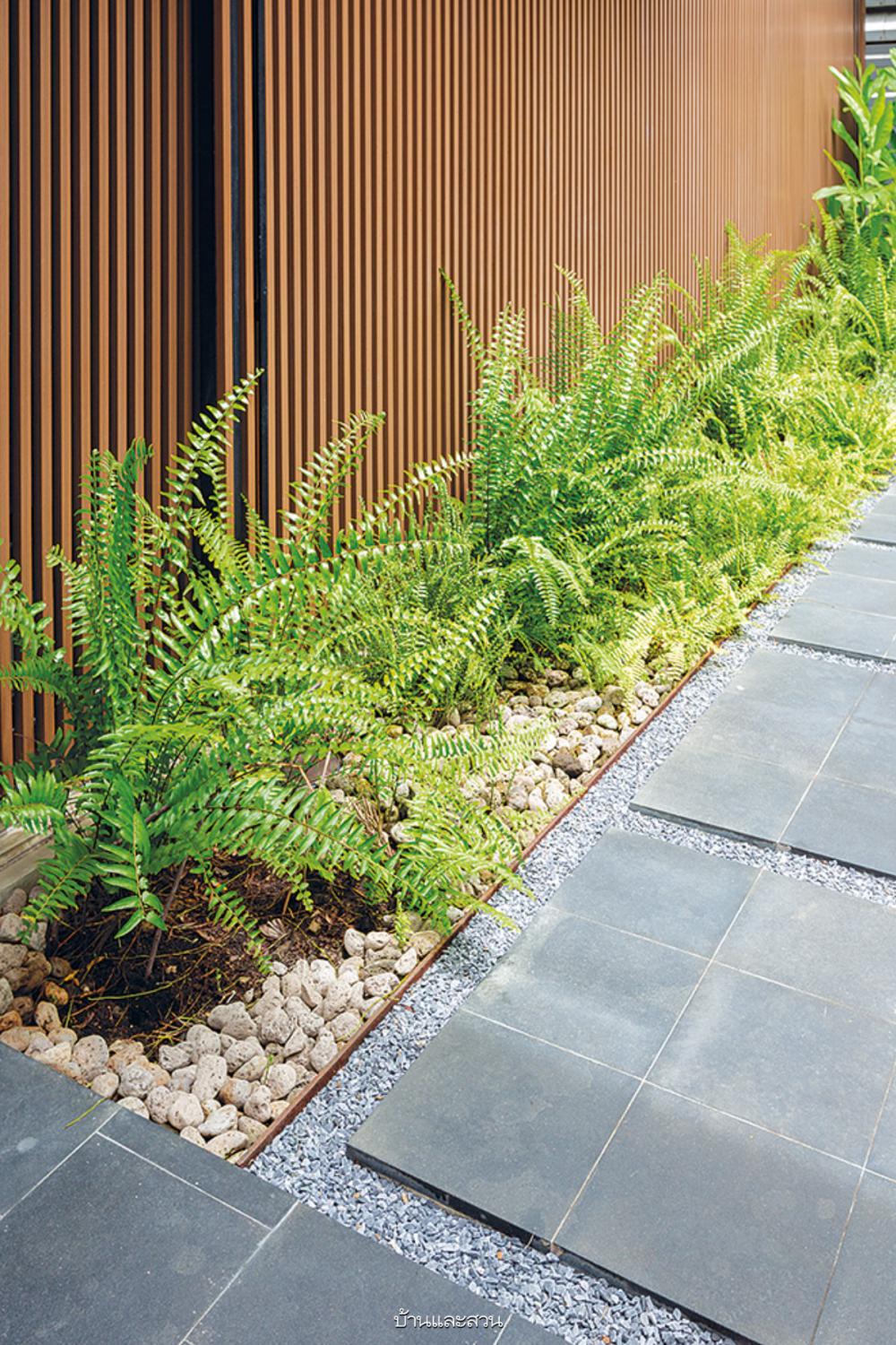 บ้านเก่าของครอบครัวปรับโฉมสู่ บ้านรีโนเวตของคนสามวัย ให้ดูโปร่งโล่ง อบอุ่น อยู่สบาย ใช้งานสะดวกมากขึ้นสำหรับผู้สูงอายุ