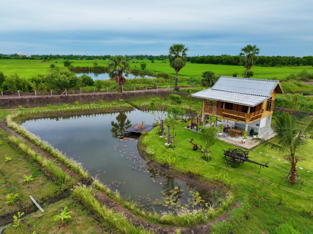 บ้านไม้ เรียบง่าย มีสวนผัก ผลไม้ ได้อยู่กับธรรมชาติที่เรียบง่าย