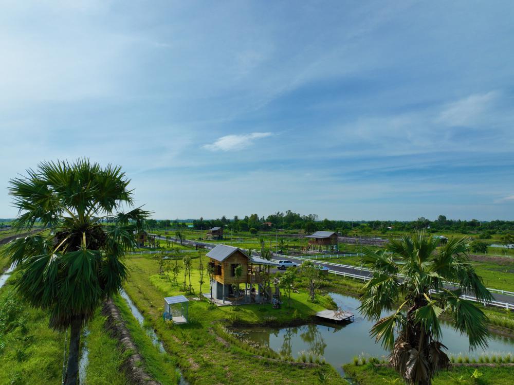 บ้านไม้ เรียบง่าย มีสวนผัก ผลไม้ ได้อยู่กับธรรมชาติที่เรียบง่าย