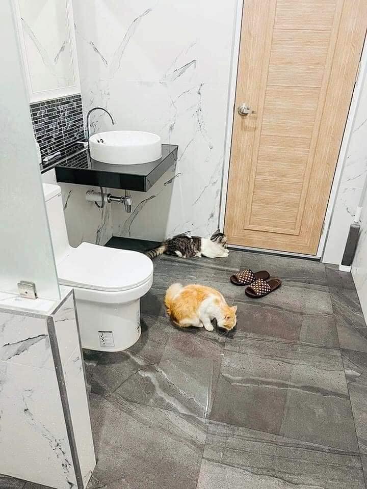 โมเดิร์น บ้านเดี่ยว 2 ชั้น 3 ห้องนอน 3 ห้องน้ำ