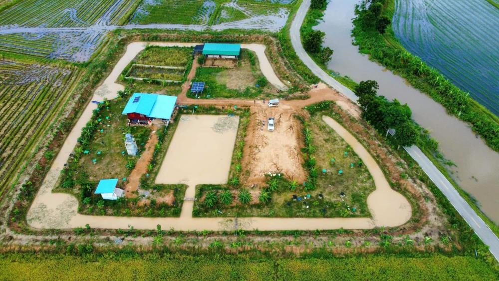 ไอเดียโคกหนองนา บ้านสวน