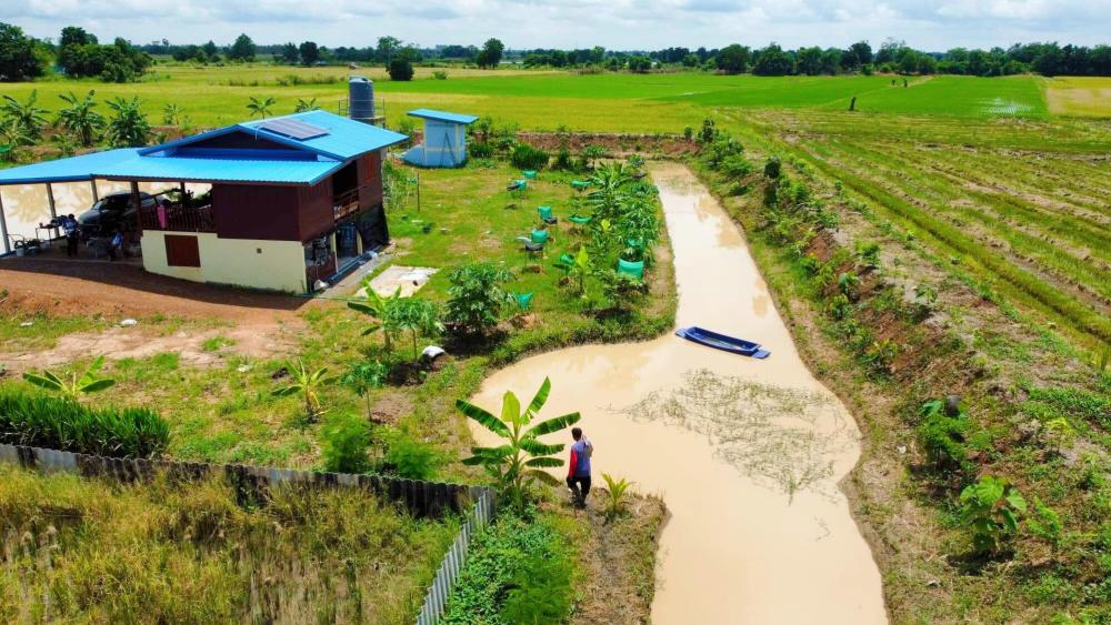 ไอเดียโคกหนองนา บ้านสวน