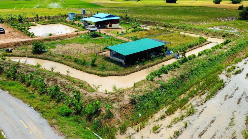 ไอเดียโคกหนองนา บ้านสวน