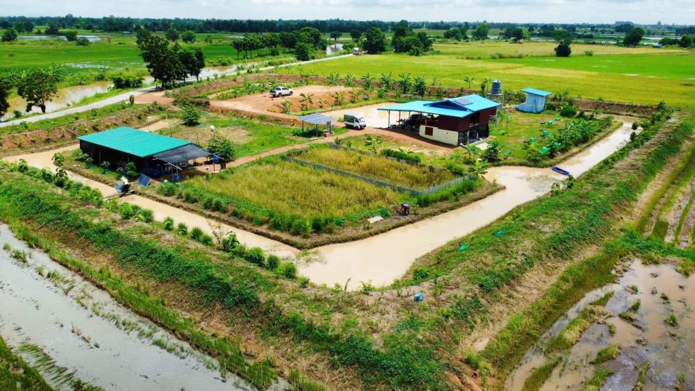 ไอเดียโคกหนองนา บ้านสวน