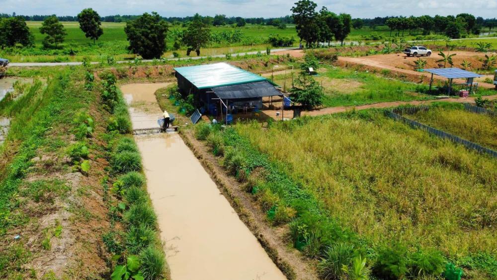 ไอเดียโคกหนองนา บ้านสวน