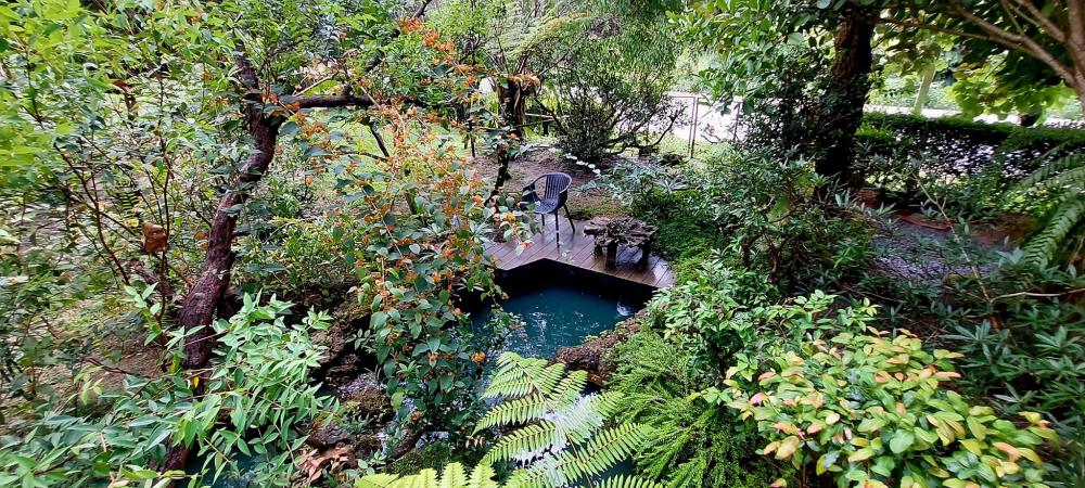 ไอเดียแต่งสวนให้เป็นธรรมชาติ