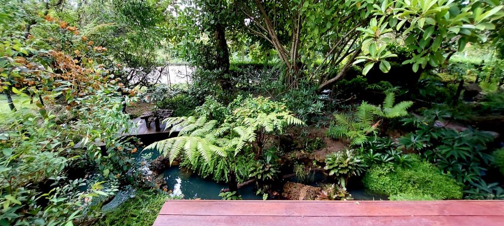 ไอเดียแต่งสวนให้เป็นธรรมชาติ