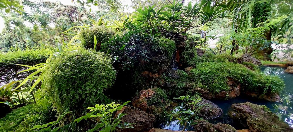 ไอเดียแต่งสวนให้เป็นธรรมชาติ