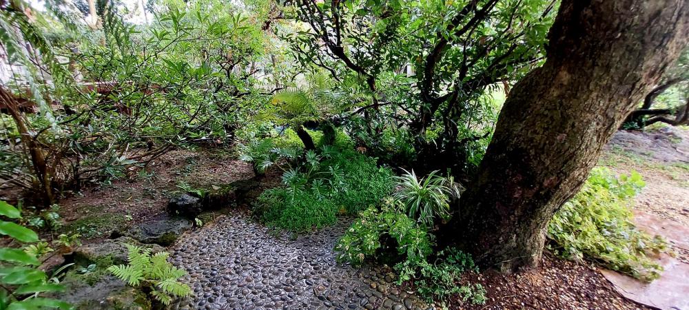 ไอเดียแต่งสวนให้เป็นธรรมชาติ