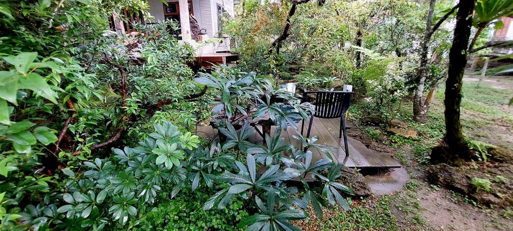 ไอเดียแต่งสวนให้เป็นธรรมชาติ