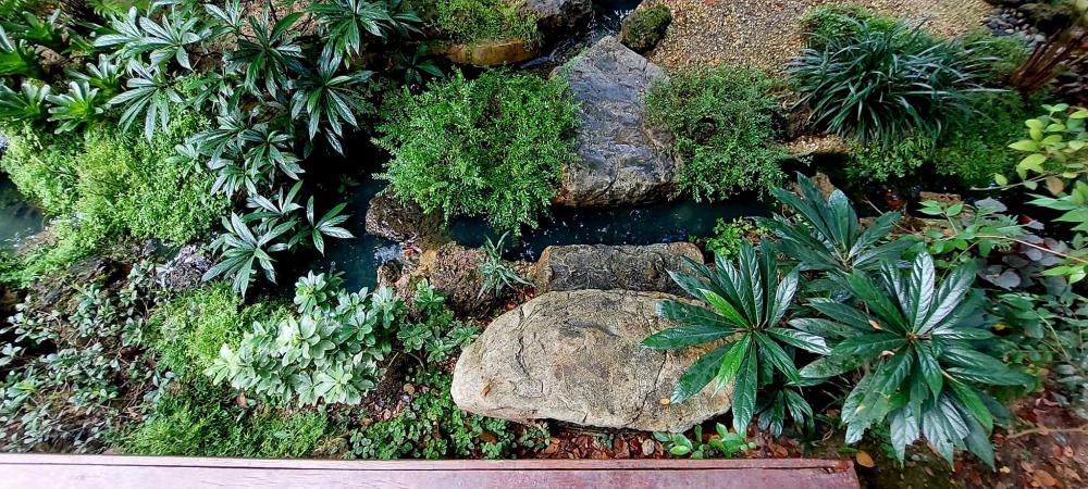 ไอเดียแต่งสวนให้เป็นธรรมชาติ