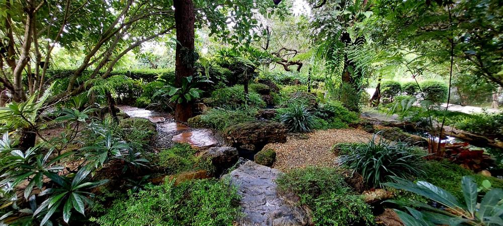 ไอเดียแต่งสวนให้เป็นธรรมชาติ