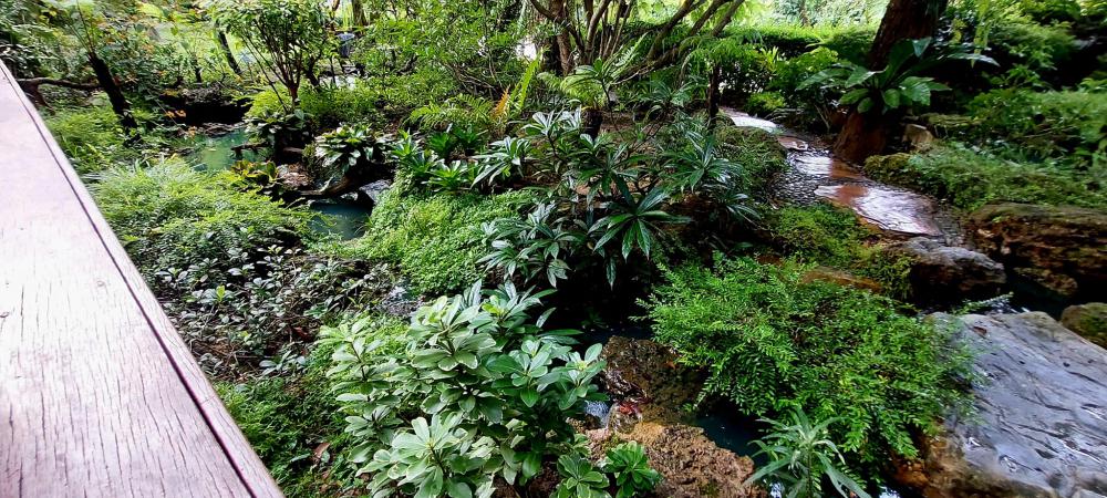 ไอเดียแต่งสวนให้เป็นธรรมชาติ