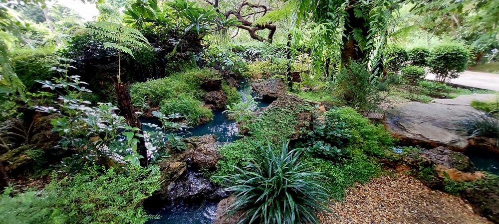 ไอเดียแต่งสวนให้เป็นธรรมชาติ