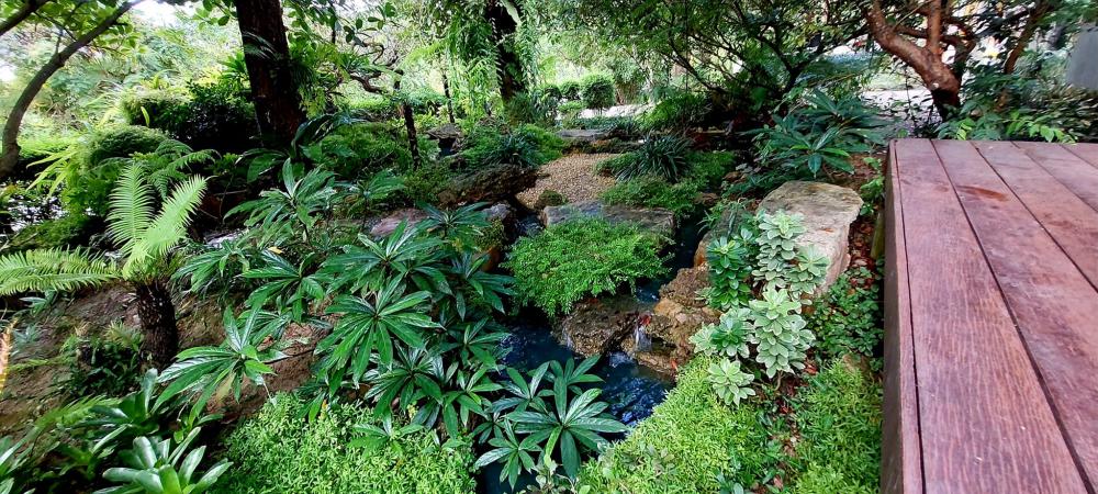 ไอเดียแต่งสวนให้เป็นธรรมชาติ