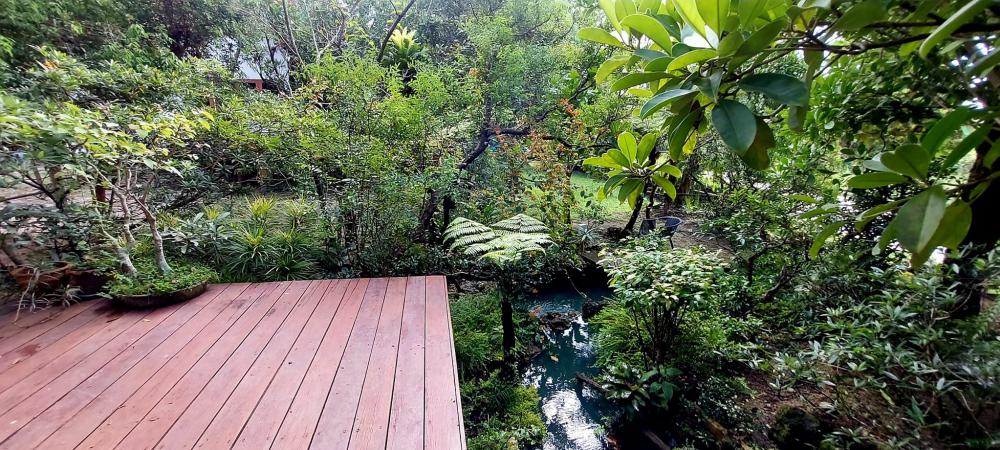 ไอเดียแต่งสวนให้เป็นธรรมชาติ