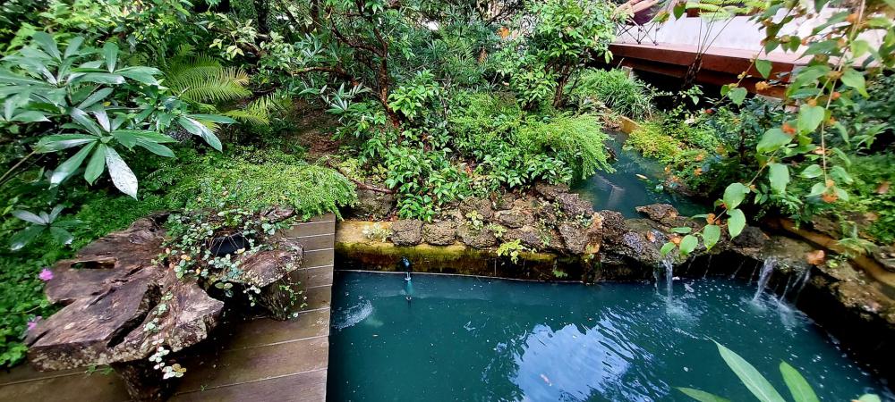 ไอเดียแต่งสวนให้เป็นธรรมชาติ